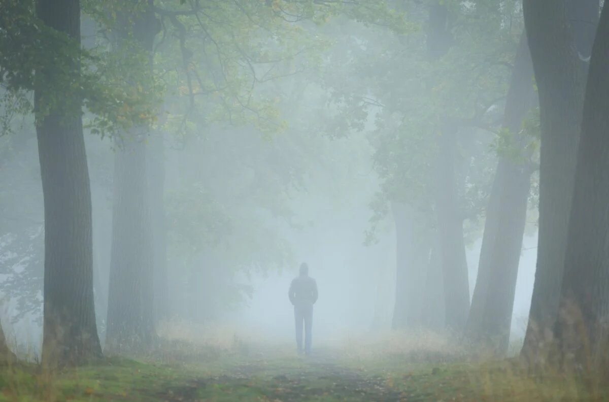 Image of person walking in a fog through trees "symbolizes the fog of grief"